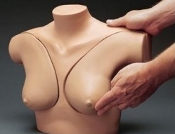 Zdravé prsia vo vašich rukách