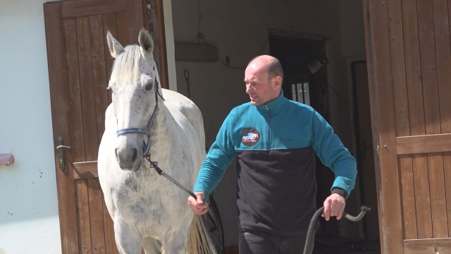 Ako sa darí známemu senickému trénerovi koní a džokejovi Jaroslavovi Brečkovi