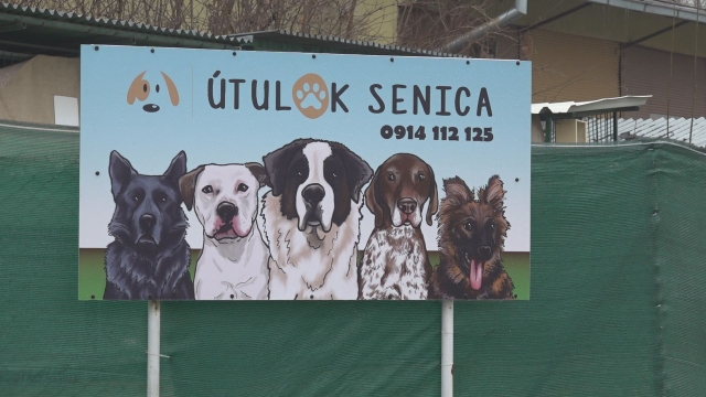 Mesto obdarovalo senický útulok pre psov hneď dvakrát